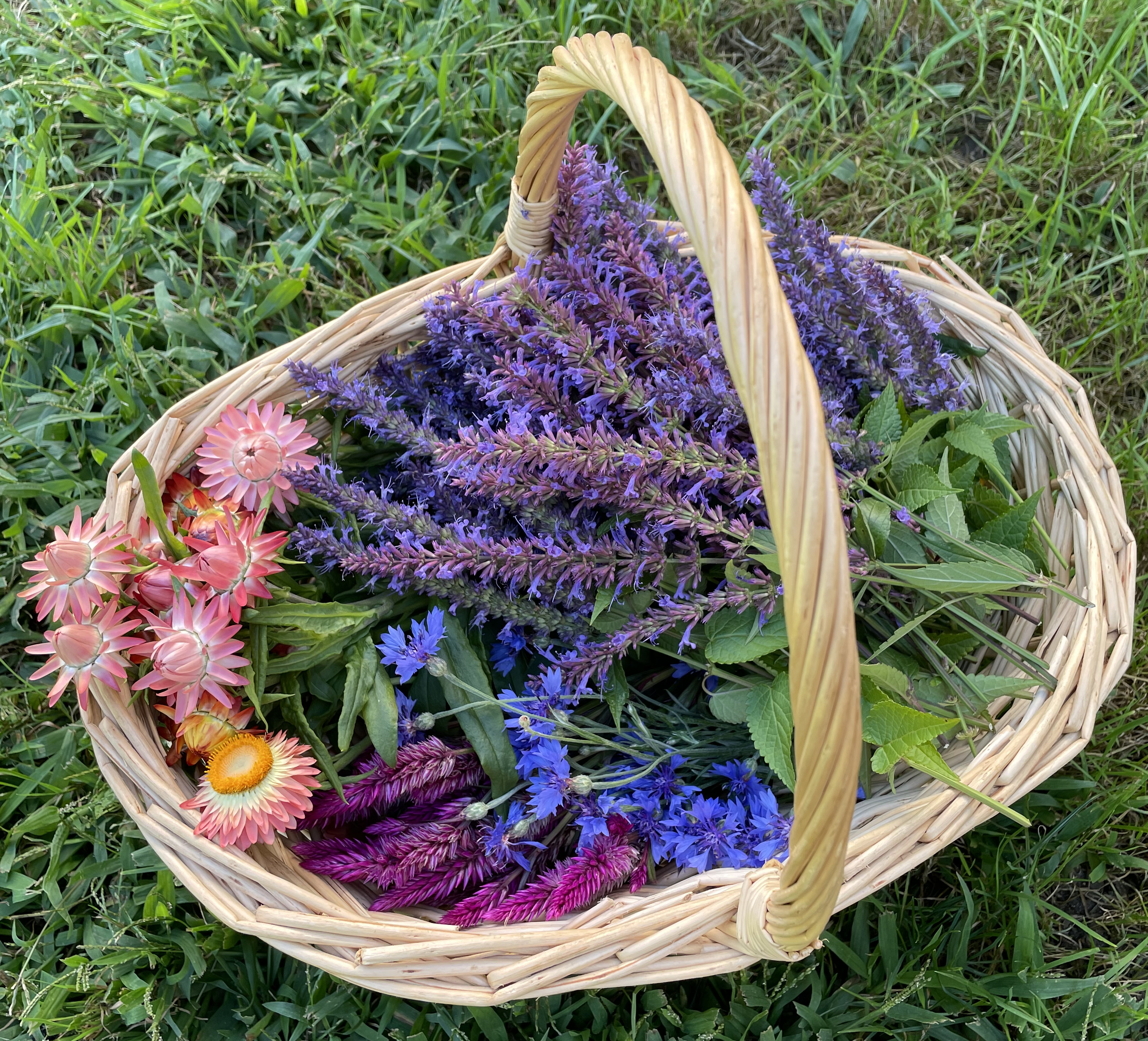 Basket of Flowers