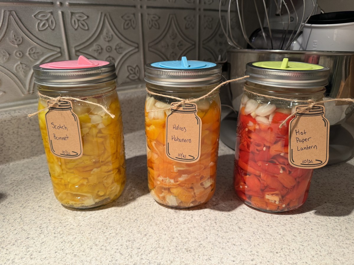 Fermenting Peppers